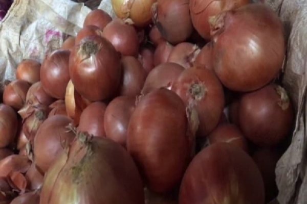 Какая ссылка на кракен