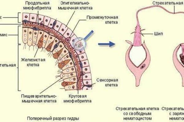 Зеркало кракен kr2web in