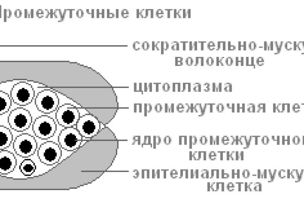 Кракен сайт 14