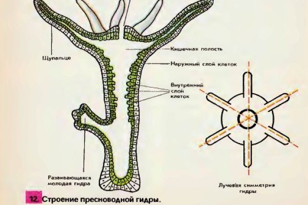 Кракен через тор браузер