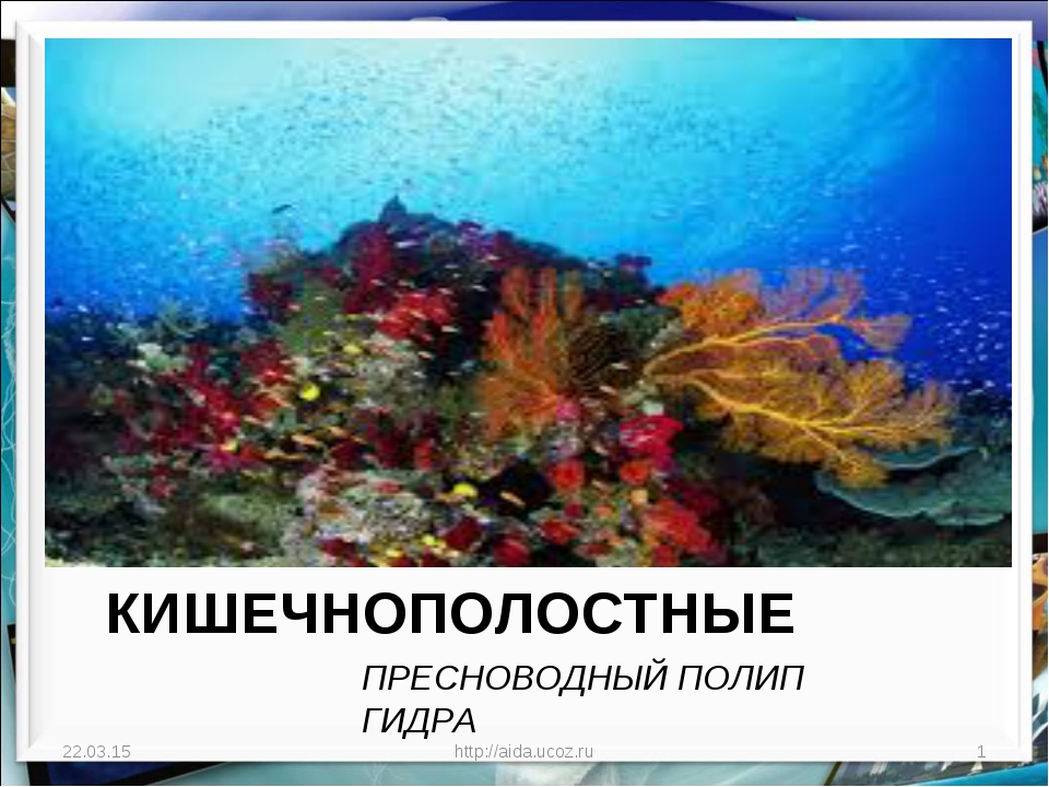Украли аккаунт на кракене даркнет